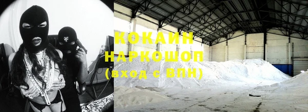 шишки Козельск