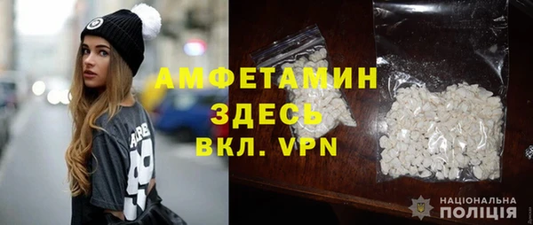 шишки Козельск