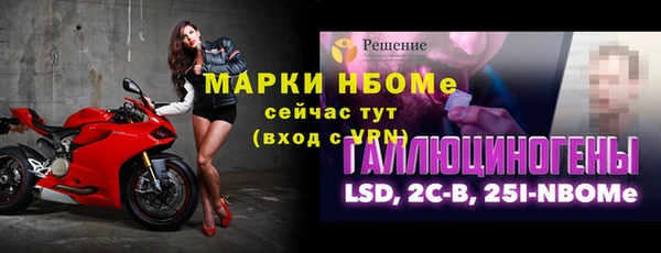 шишки Козельск