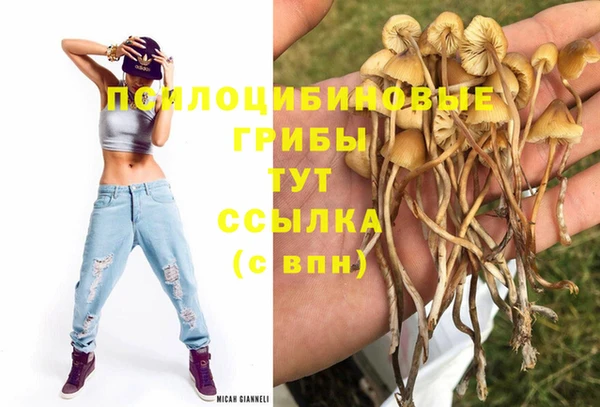 наркотики Киреевск