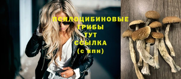 гидропоника Балашиха