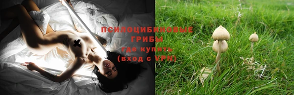 наркотики Киреевск